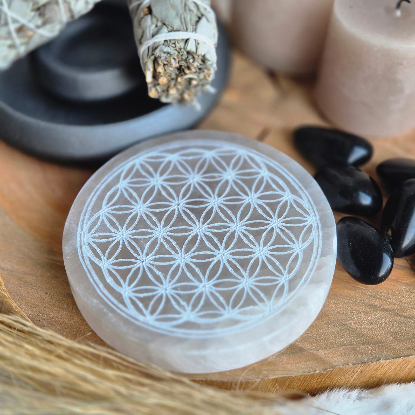 Kit Purification & Rechargement « Design & Moderne »